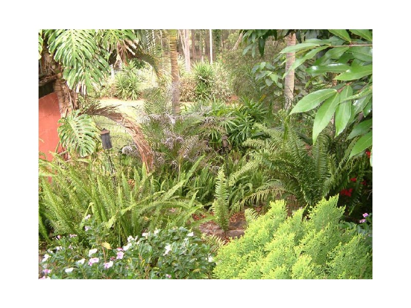 21 Corringle Cl, Helensvale QLD 4212