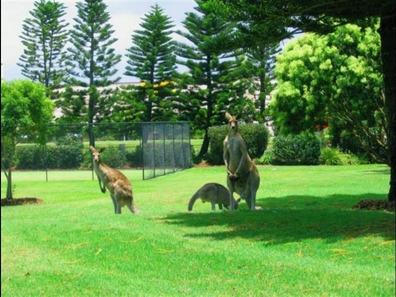 121/19 Santa Barbara Road, Hope Island QLD 4212