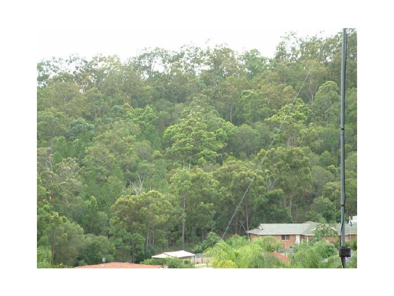 7 Pinebark Av, Oxenford QLD 4210