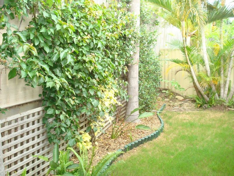 17/32 Mildura Drive, Helensvale QLD 4212