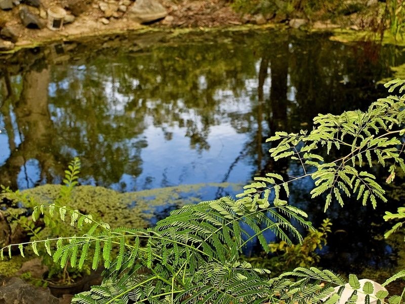 8 Edelweiss Way, Gaven QLD 4211