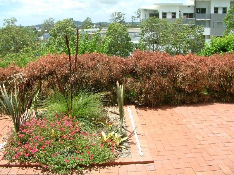 15/1 Doyalson Place, Helensvale QLD 4212