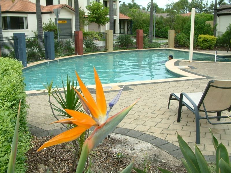 2/590 Pine Ridge Road, Coombabah QLD 4216