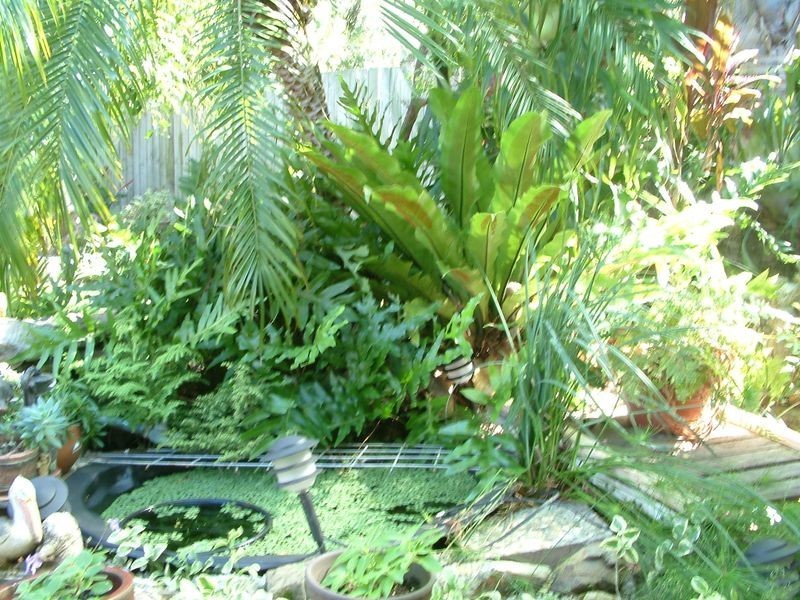 95 River Oak Drive, Helensvale QLD 4212