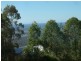 311 Wongawallan Drive, Wongawallan QLD 4210