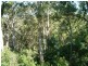 311 Wongawallan Drive, Wongawallan QLD 4210