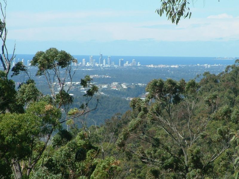 311 Wongawallan Drive, Wongawallan QLD 4210