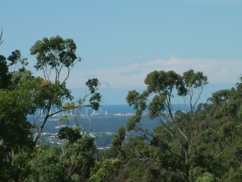 311 Wongawallan Drive, Wongawallan QLD 4210