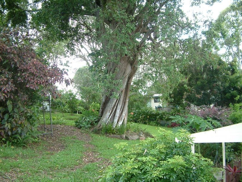 18 Amelia Street, Upper Coomera QLD 4209