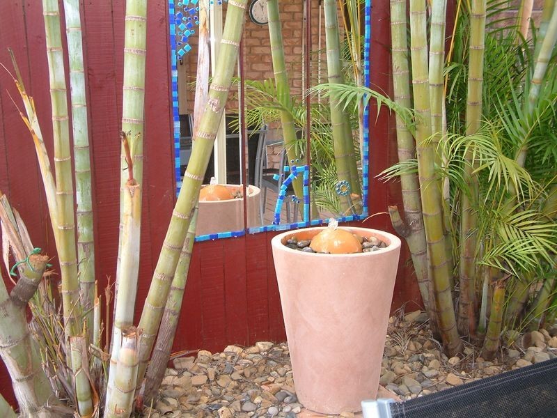 13 Seidler Avenue, Coombabah QLD 4216