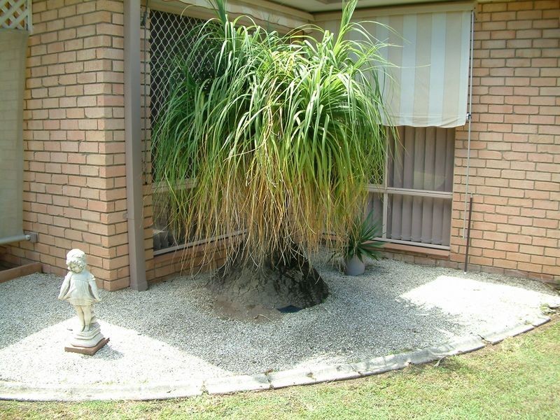 15 Pentland Court, Helensvale QLD 4212