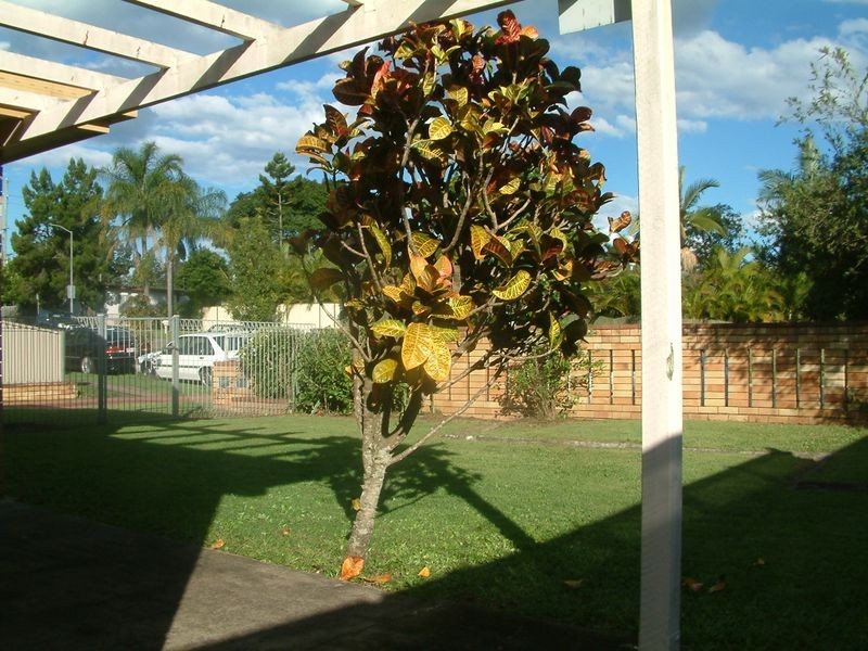 1/7 Brady Drive, Coombabah QLD 4216