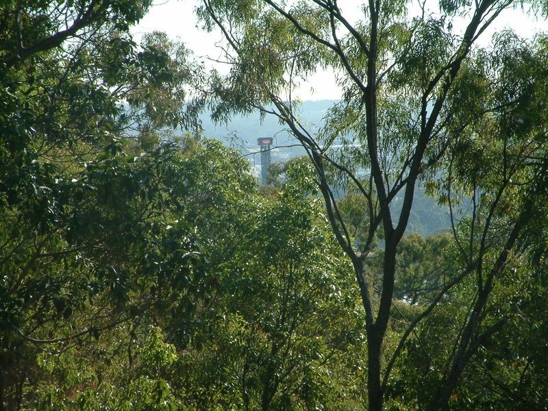 29 Crestridge Crescent, Oxenford QLD 4210