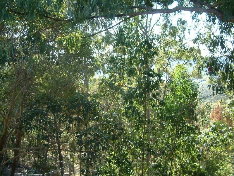 29 Crestridge Crescent, Oxenford QLD 4210