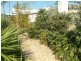 8 Toolangi Ct, Upper Coomera QLD 4209