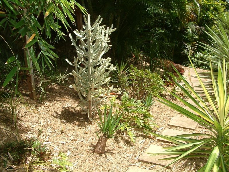 Monterey Keys QLD 4212