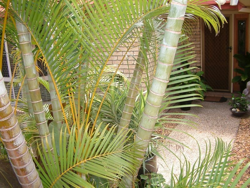 Monterey Keys QLD 4212