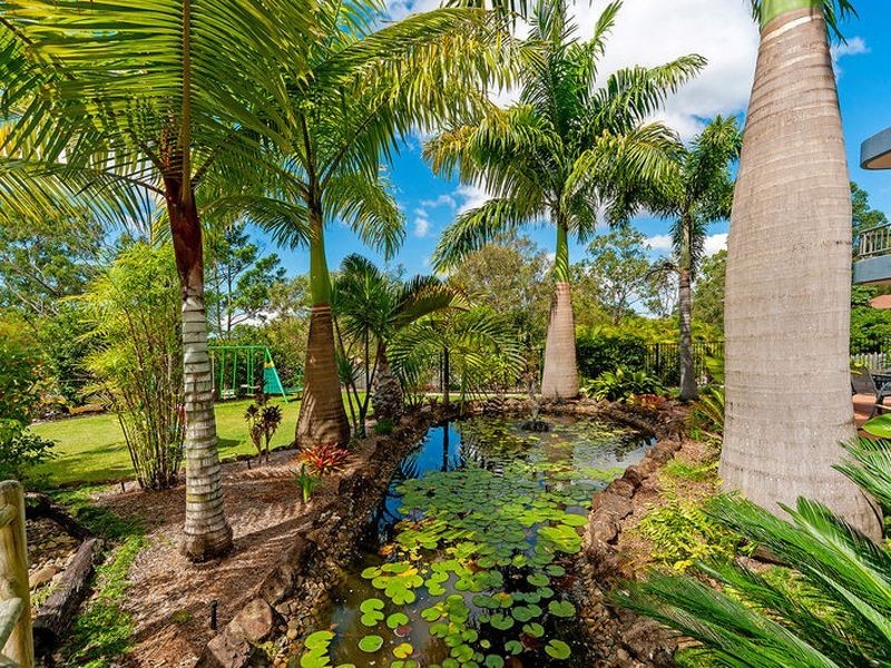 24 Surrey Ct, Helensvale QLD 4212