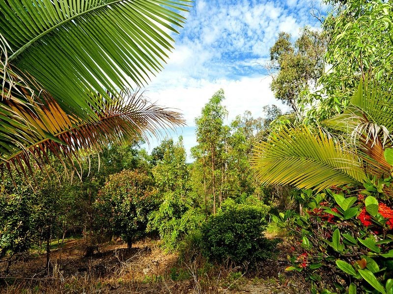 47 Highvale Drive, Helensvale QLD 4212