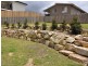 8 Meroo Place, Upper Coomera QLD 4209