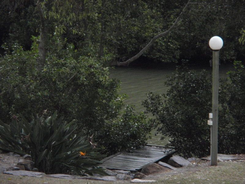 82 Rivertree Avenue, Helensvale QLD 4212