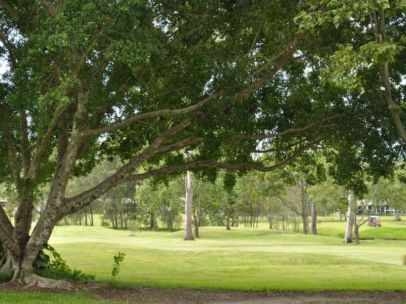 6 Calder Crescent, Helensvale QLD 4212