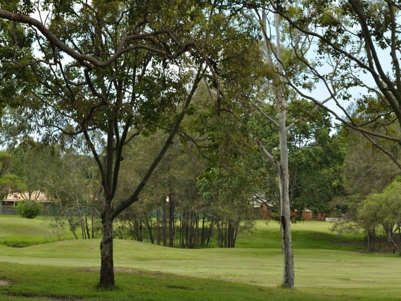 6 Calder Crescent, Helensvale QLD 4212