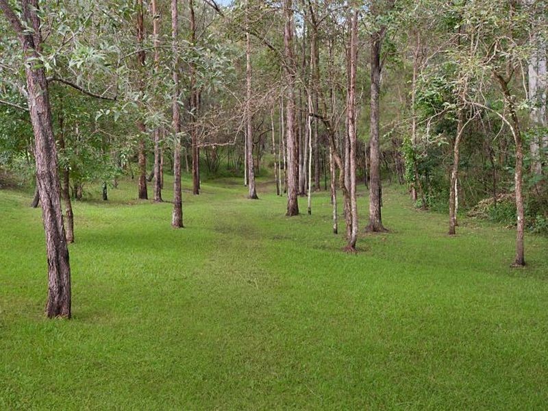 19 Asher Court, Upper Coomera QLD 4209