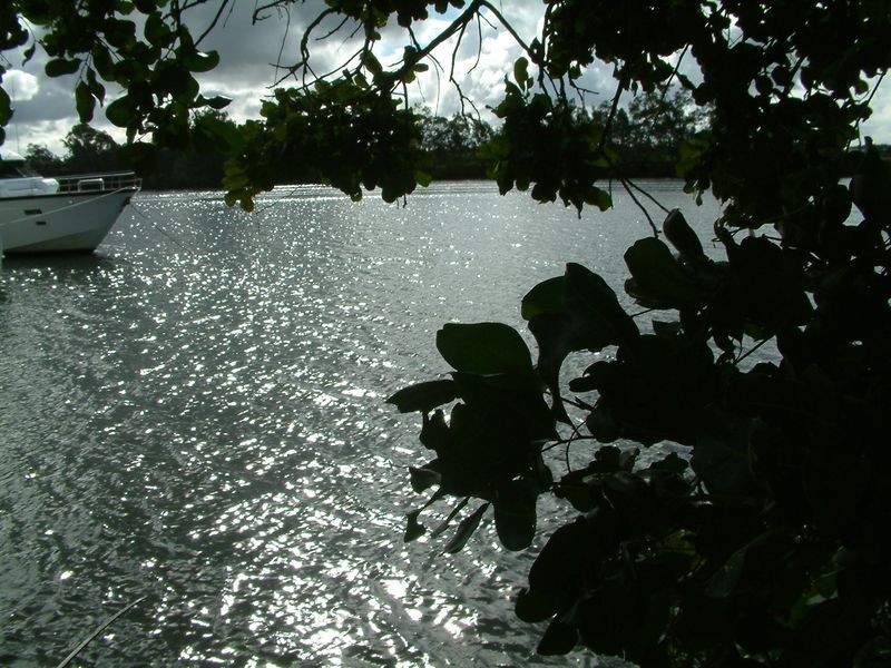 32 River Cove Place, Helensvale QLD 4212