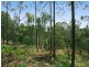 6 Knoll Court, Gaven QLD 4211