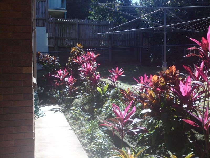 East Brisbane QLD 4169