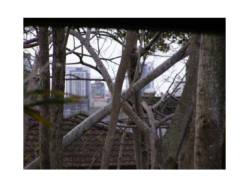 East Brisbane QLD 4169