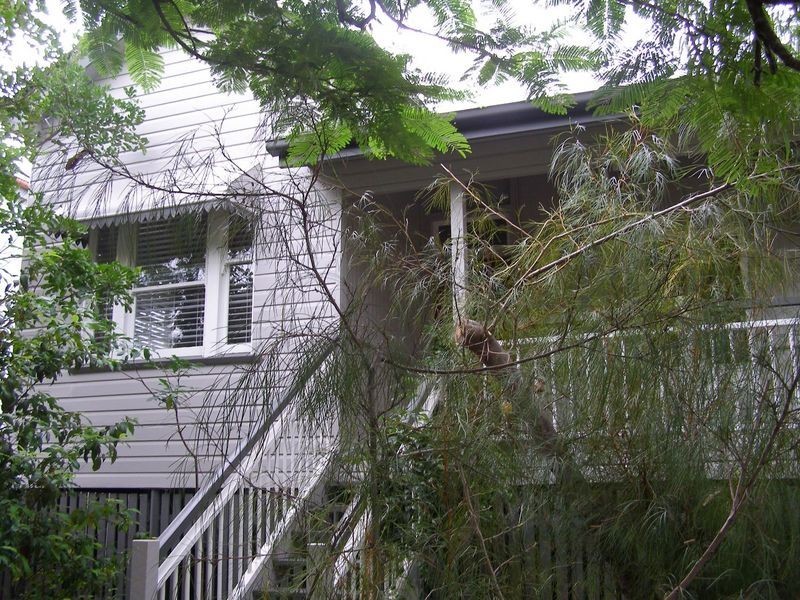 Woolloongabba QLD 4102