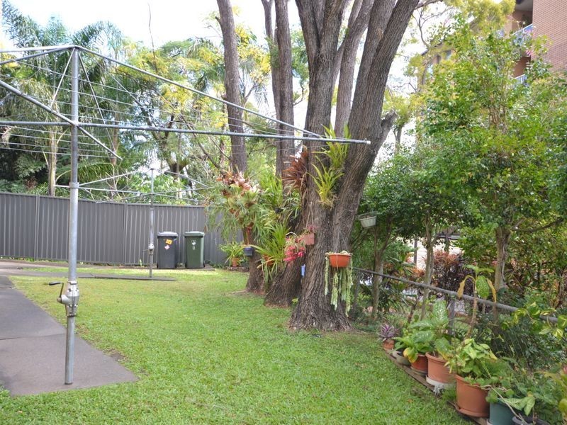 6/65 Rialto Street, Coorparoo QLD 4151