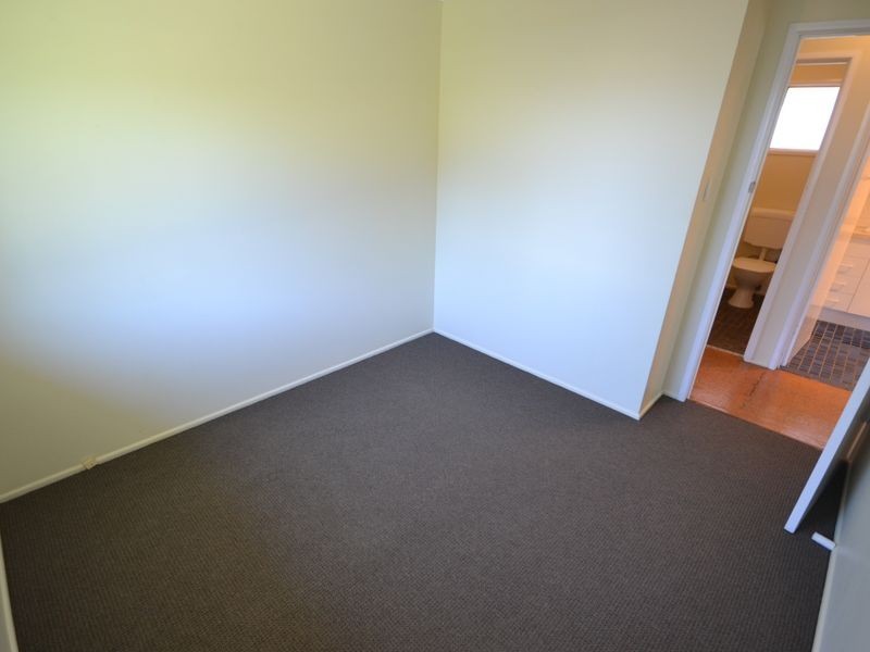 41 Macrossan Avenue, Norman Park QLD 4170