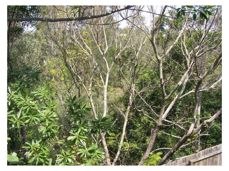 40 Roseglen St, Greenslopes QLD 4120