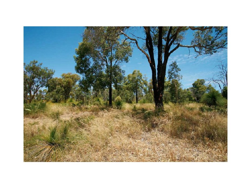 38 Malvolio Road, Coolbellup WA 6163