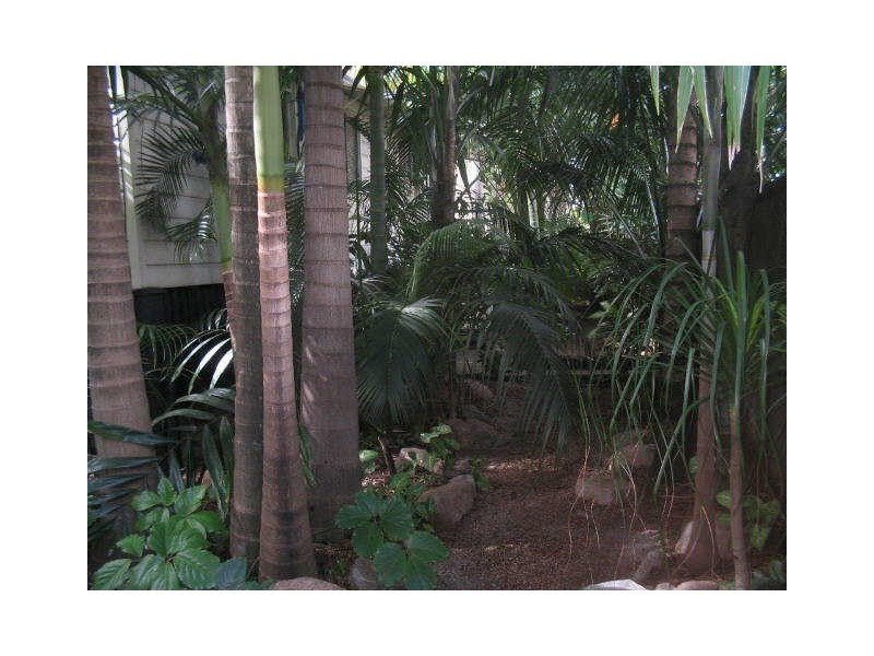 54 Latrobe Street, East Brisbane QLD 4169