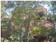3 Stanley Terrace, East Brisbane QLD 4169