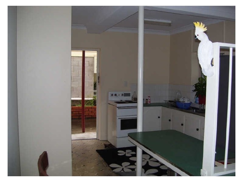 50 Emperor Street, Annerley QLD 4103