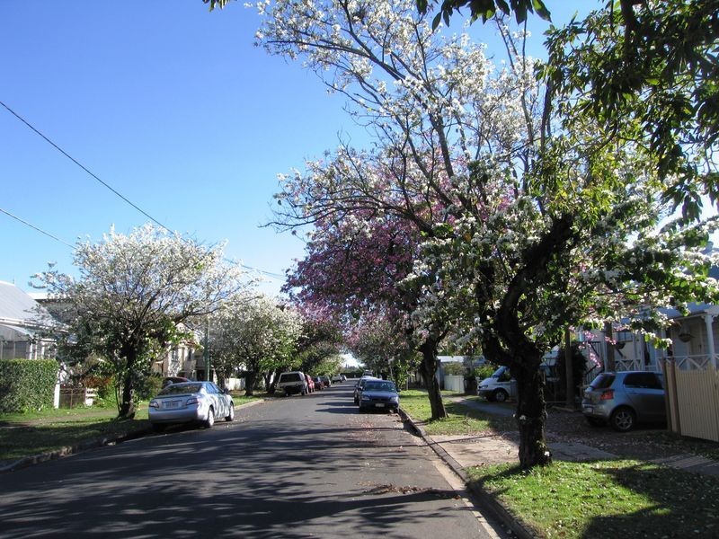 48 Geelong Street, East Brisbane QLD 4169