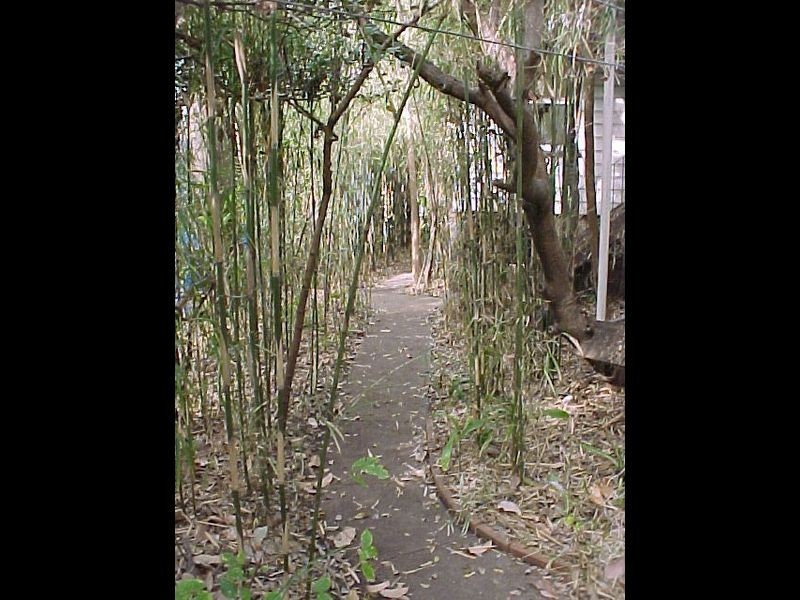 Kangaroo Point QLD 4169