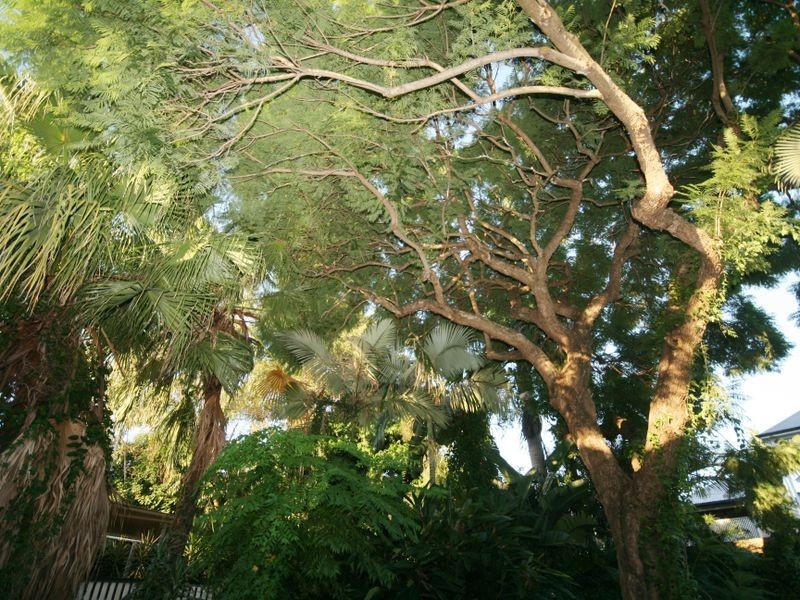 19 Northcote Street, East Brisbane QLD 4169