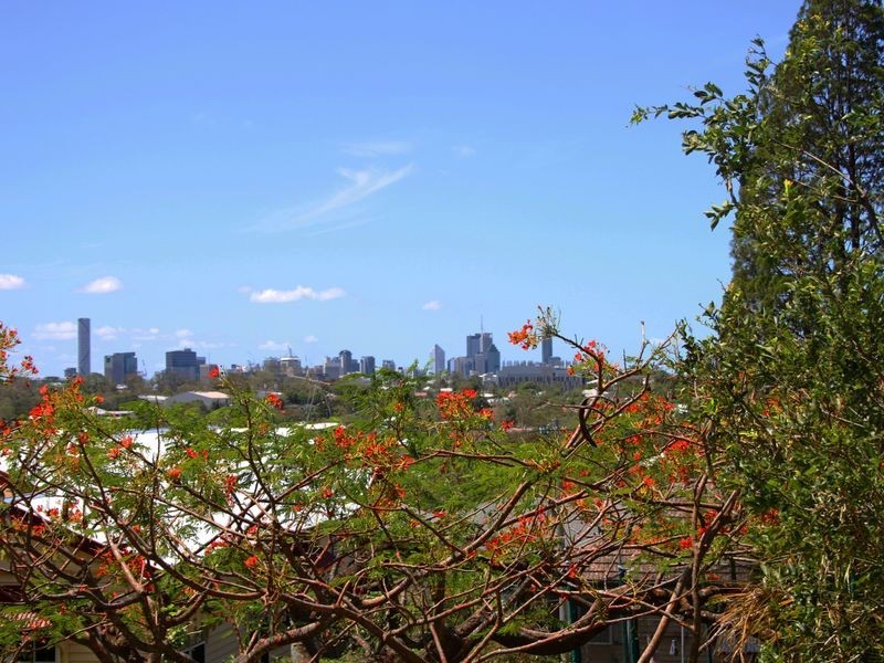 57 Clive Street, Annerley QLD 4103