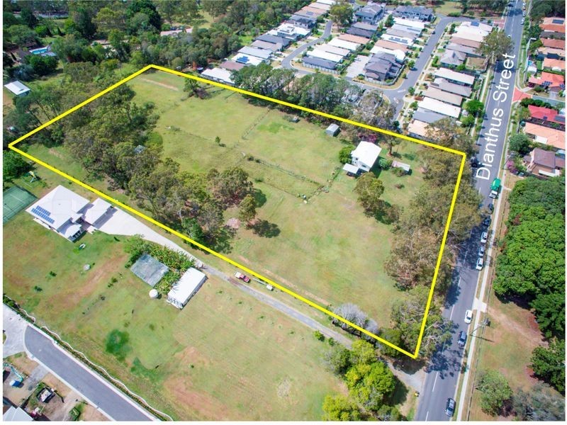 79 Dianthus Street, Wakerley QLD 4154