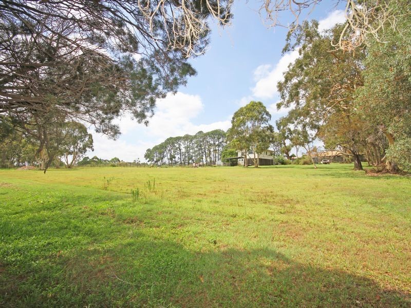 79 Dianthus Street, Wakerley QLD 4154