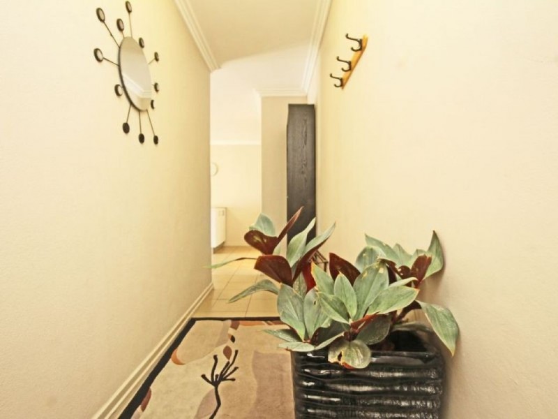 17/204 Wellington Road, East Brisbane QLD 4169