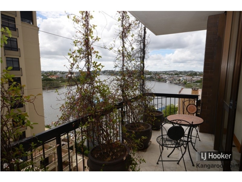 21/237 Wellington Road, Kangaroo Point QLD 4169