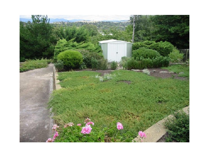 19 Hoadley Street, Mawson ACT 2607