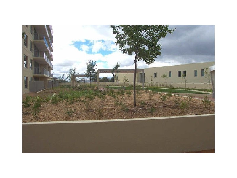 19/98 Callam Street, Phillip ACT 2606